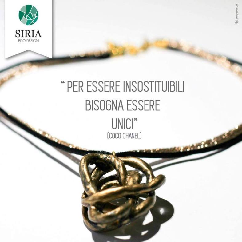 14232506_1458166460876572_1807696541702925517_n