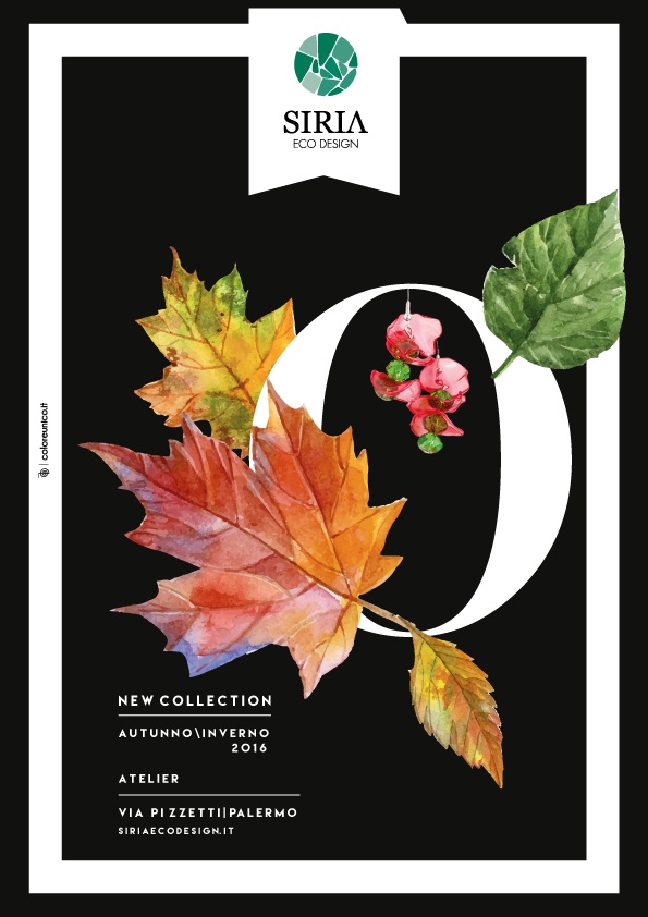 14485011_1490020901024461_7023399440324174119_n